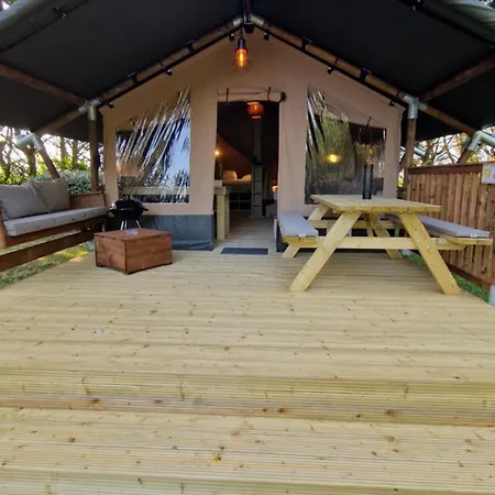 Campsite Premium Grues